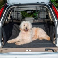 Boot Liner for Dogs