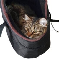 Pet Carrier Shoulder Bag