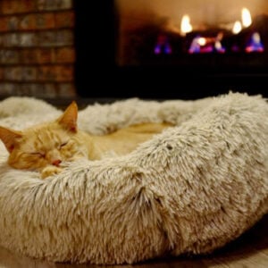 Pet Donut Bed
